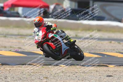 media/Apr-13-2024-SoCal Trackdays (Sat) [[f1617382bd]]/7-Turn 2 (1125am)/